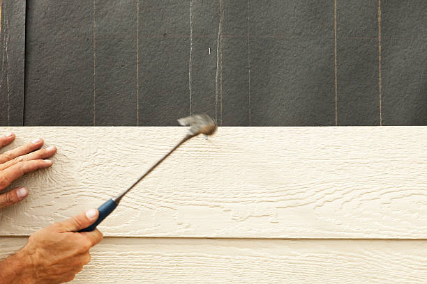 Best Stucco Siding  in Orange Blossom, CA